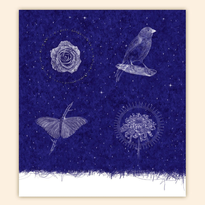 The NOCTURNES Collection