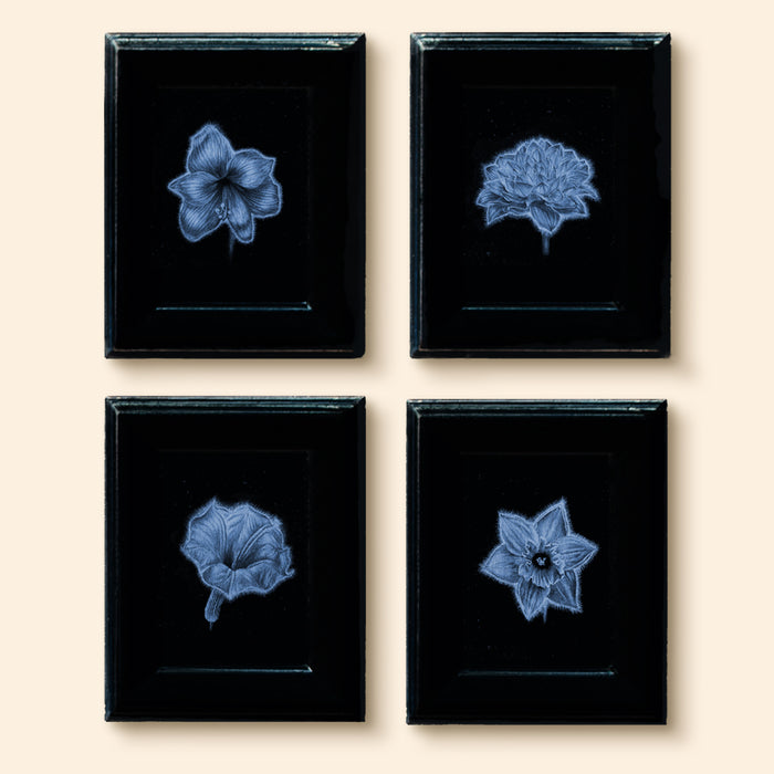 The GHOST FLOWERS Collection