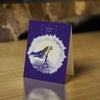 I Believe In You, Sunbird!