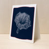 Ghost Morning Glory Card