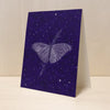 Nocturnes Butterfly Card