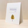 Cicero Sympathy Card