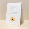 Sympathy - Sufi Aphorism Card