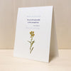Talamud Sympathy Card