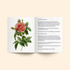 The Nightingale & the Rose