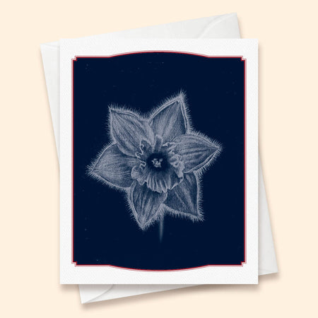 Ghost Daffodil Card