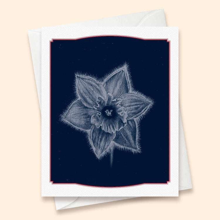 Ghost Daffodil Card