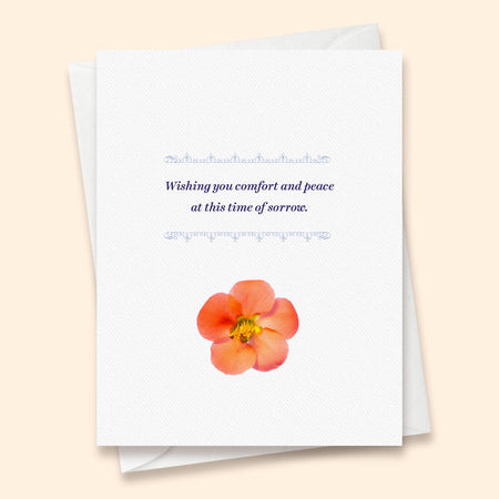 Sympathy - Comfort Card