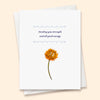 Small Comfort Box - Sympathy