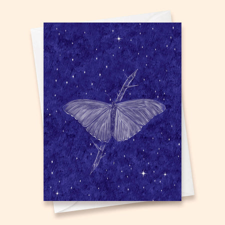 Nocturnes Butterfly Card