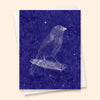 Nocturnes Canary Card