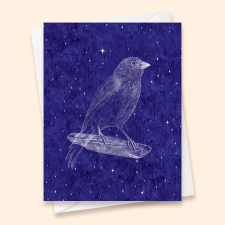 Nocturnes Canary Card