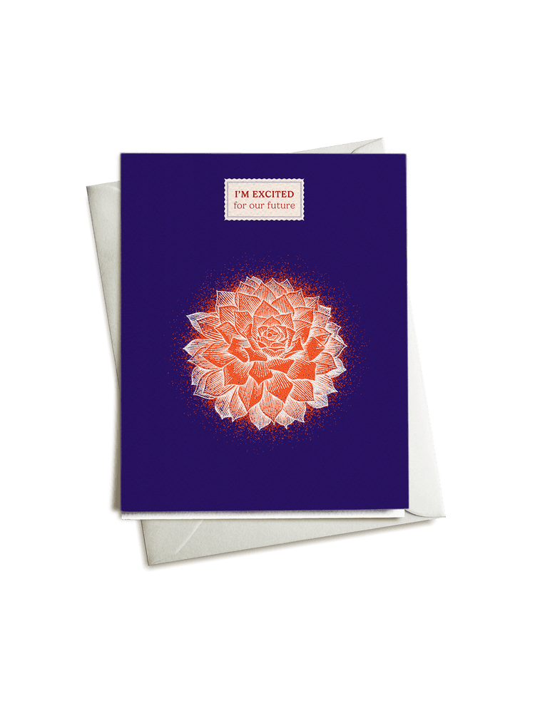 I'm Excited for Our Future