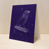 Nocturnes Canary Card