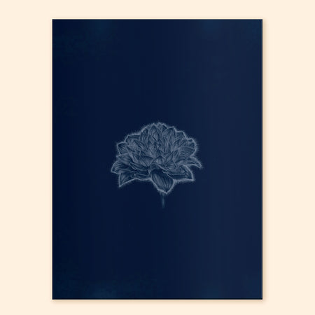 Ghost Dahlia Art Print