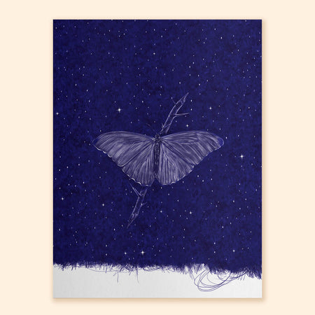 Butterfly Nocturne Art Print