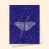 Nocturnes Butterfly Card