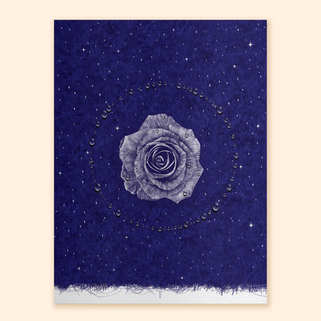Rose Nocturne Art Print